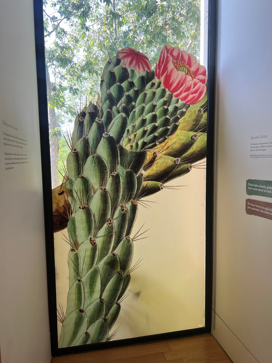 Inspired by Art and Nature